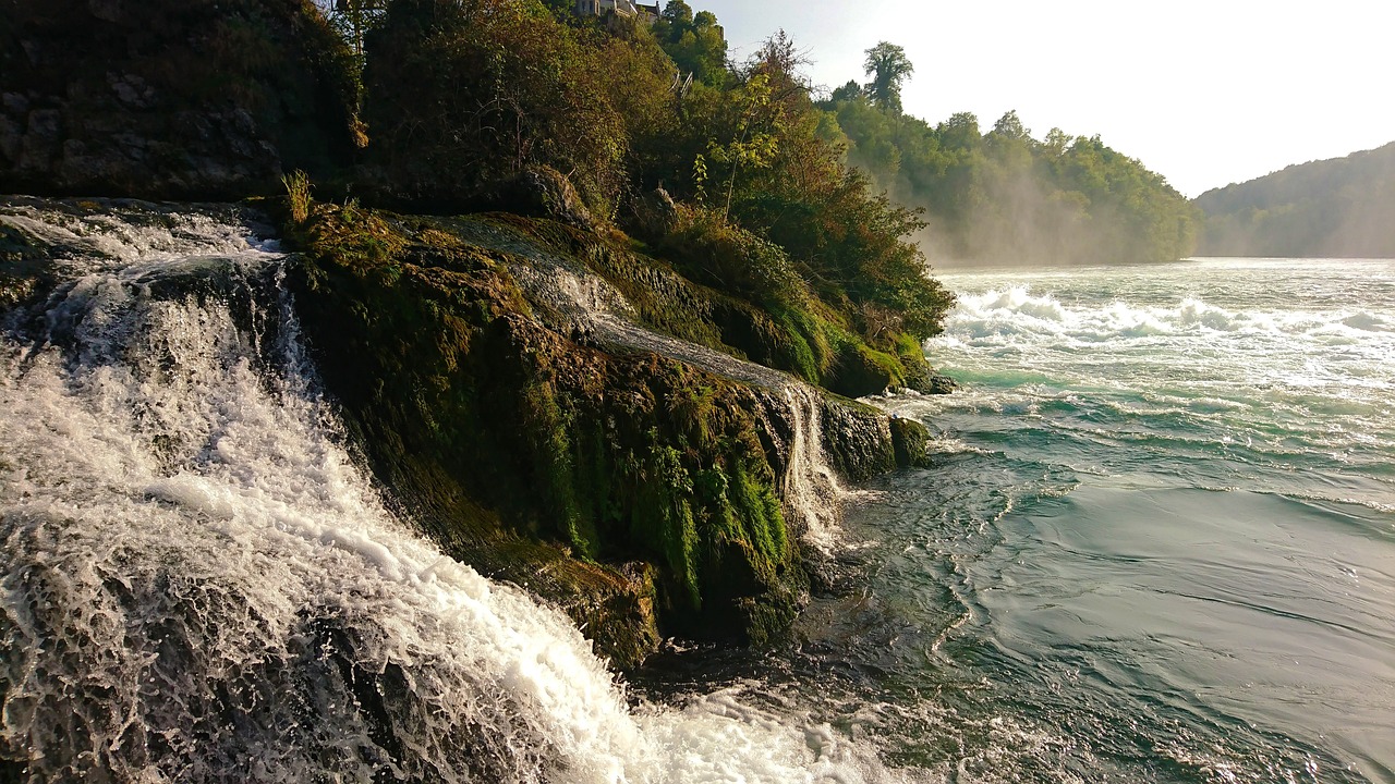In this image, the visible elements include water, trees, and the sky.\n
